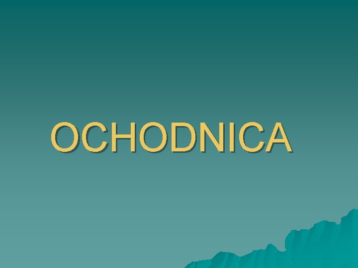 OCHODNICA 