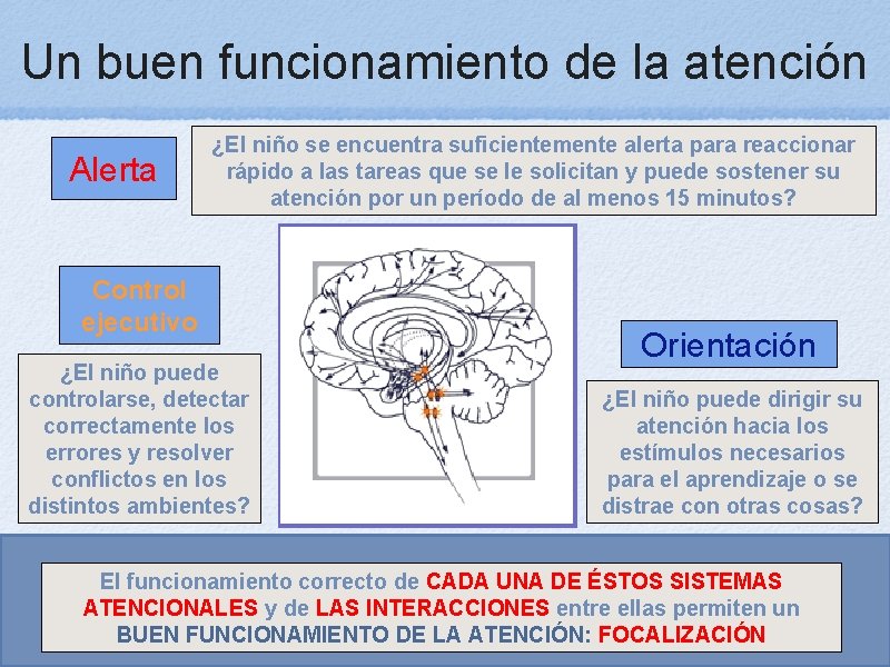 Un buen funcionamiento de la atención Alerta ¿El niño se encuentra suficientemente alerta para