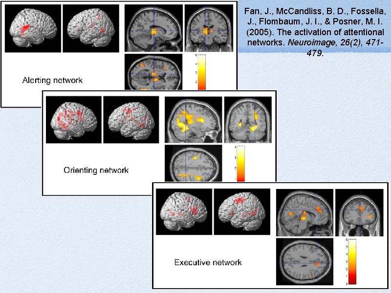 Fan, J. , Mc. Candliss, B. D. , Fossella, J. , Flombaum, J. I.
