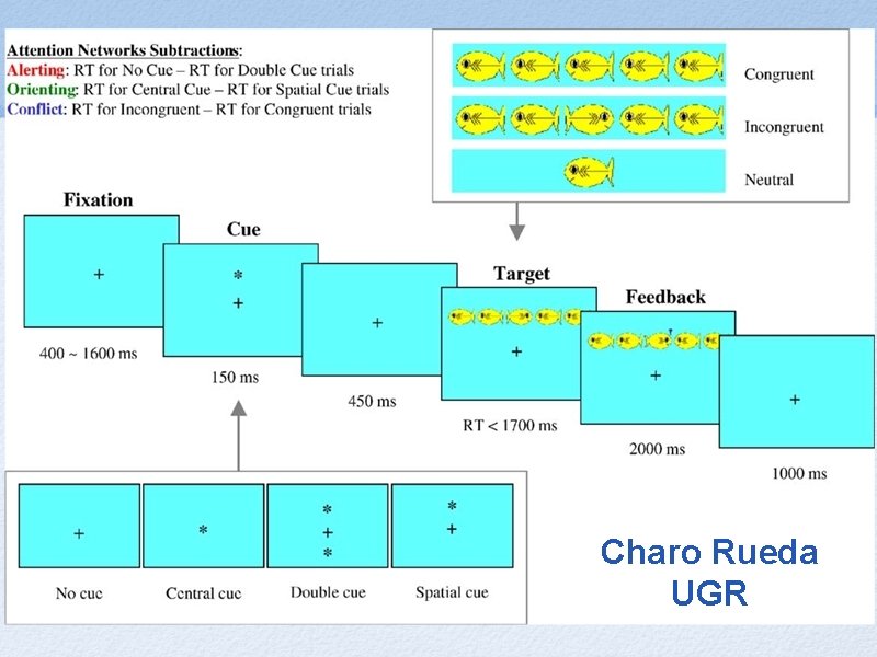 Charo Rueda UGR 