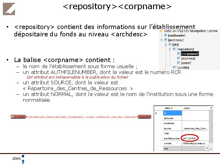 <repository><corpname> • <repository> contient des informations sur l’établissement dépositaire du fonds au niveau <archdesc>