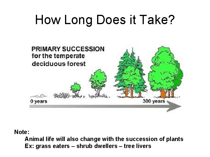 How Long Does it Take? Note: Animal life will also change with the succession