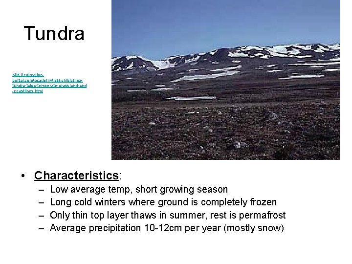 Tundra http: //educationportal. com/academy/lesson/biomestundra-taiga-temperate-grassland-and -coastlines. html • Characteristics: – – Low average temp, short
