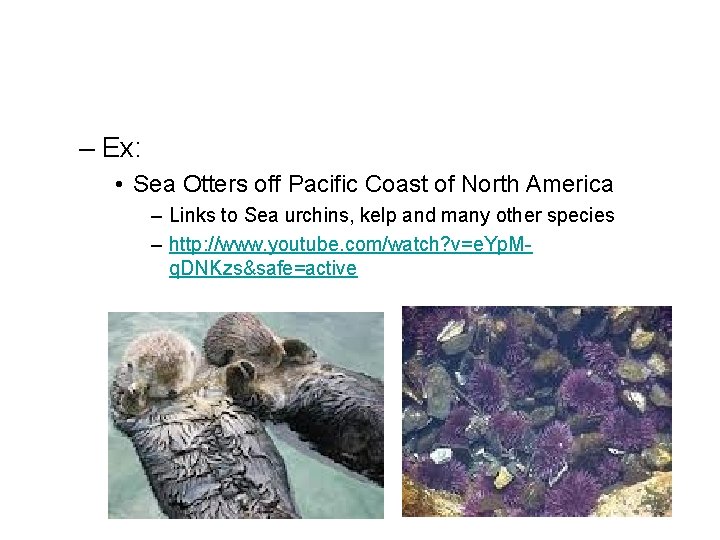 – Ex: • Sea Otters off Pacific Coast of North America – Links to