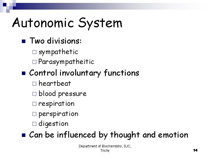 Autonomic System n Two divisions: ¨ sympathetic ¨ Parasympatheitic n Control involuntary functions ¨