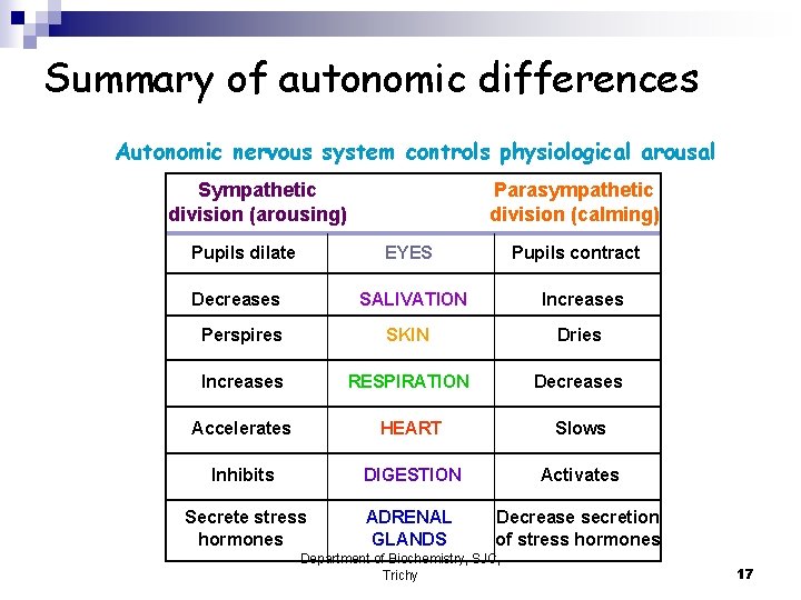 Summary of autonomic differences Autonomic nervous system controls physiological arousal Sympathetic division (arousing) Pupils