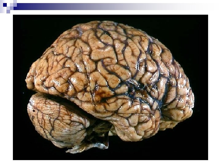 Department of Biochemistry, SJC, Trichy 3 