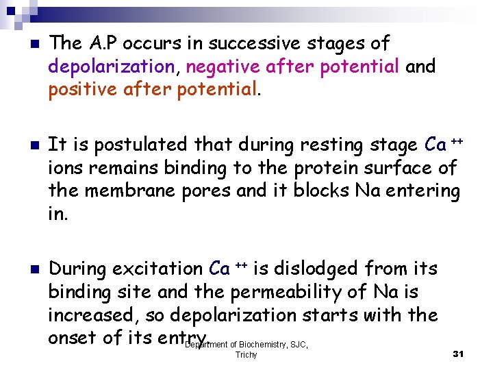 n n n The A. P occurs in successive stages of depolarization, negative after