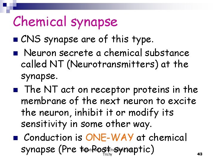 Chemical synapse CNS synapse are of this type. n Neuron secrete a chemical substance