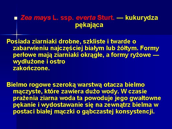 n Zea mays L. ssp. everta Sturt. — kukurydza pękająca Posiada ziarniaki drobne, szkliste n Zea mays L. ssp. everta Sturt. — kukurydza pękająca Posiada ziarniaki drobne, szkliste
