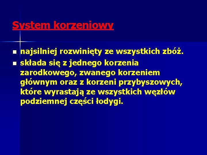 System korzeniowy n n najsilniej rozwinięty ze wszystkich zbóż. składa się z jednego korzenia System korzeniowy n n najsilniej rozwinięty ze wszystkich zbóż. składa się z jednego korzenia