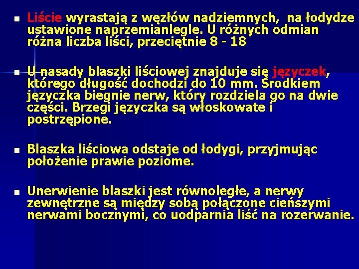 n Liście wyrastają z węzłów nadziemnych, na łodydze ustawione naprzemianlegle. U różnych odmian różna n Liście wyrastają z węzłów nadziemnych, na łodydze ustawione naprzemianlegle. U różnych odmian różna