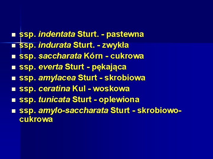 n n n n ssp. indentata Sturt. - pastewna ssp. indurata Sturt. - zwykła n n n n ssp. indentata Sturt. - pastewna ssp. indurata Sturt. - zwykła