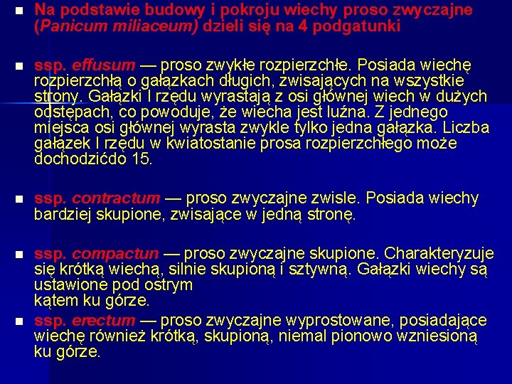 n Na podstawie budowy i pokroju wiechy proso zwyczajne (Panicum miliaceum) dzieli się na n Na podstawie budowy i pokroju wiechy proso zwyczajne (Panicum miliaceum) dzieli się na