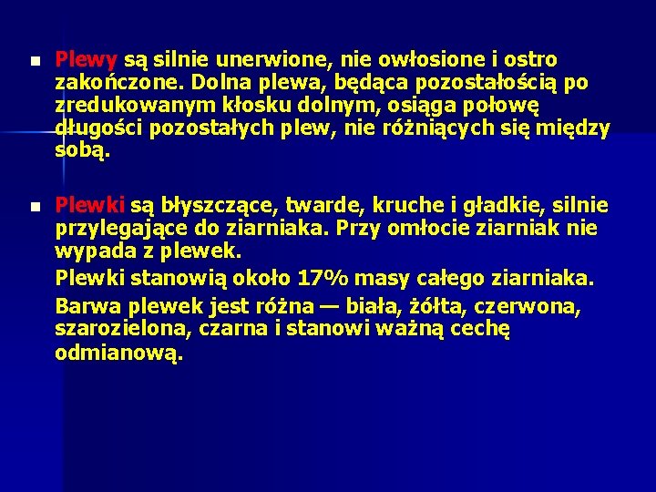 n Plewy są silnie unerwione, nie owłosione i ostro zakończone. Dolna plewa, będąca pozostałością n Plewy są silnie unerwione, nie owłosione i ostro zakończone. Dolna plewa, będąca pozostałością