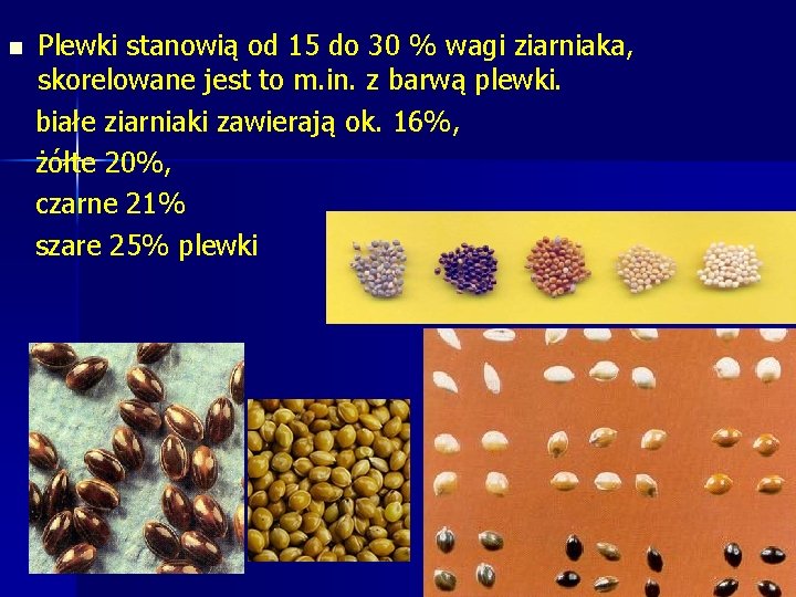 n Plewki stanowią od 15 do 30 % wagi ziarniaka, skorelowane jest to m. n Plewki stanowią od 15 do 30 % wagi ziarniaka, skorelowane jest to m.