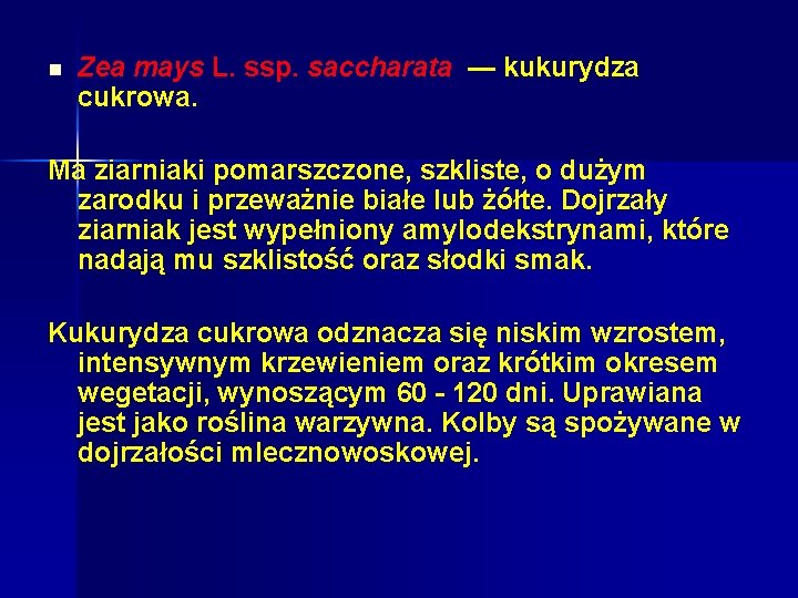 n Zea mays L. ssp. saccharata — kukurydza cukrowa. Ma ziarniaki pomarszczone, szkliste, o n Zea mays L. ssp. saccharata — kukurydza cukrowa. Ma ziarniaki pomarszczone, szkliste, o