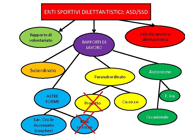 ENTI SPORTIVI DILETTANTISTICI: ASD/SSD Rapporto di volontariato Attività sportiva dilettantistica RAPPORTI DI LAVORO Subordinato