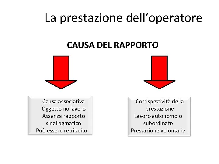 La prestazione dell’operatore CAUSA DEL RAPPORTO Causa associativa Oggetto no lavoro Assenza rapporto sinallagmatico