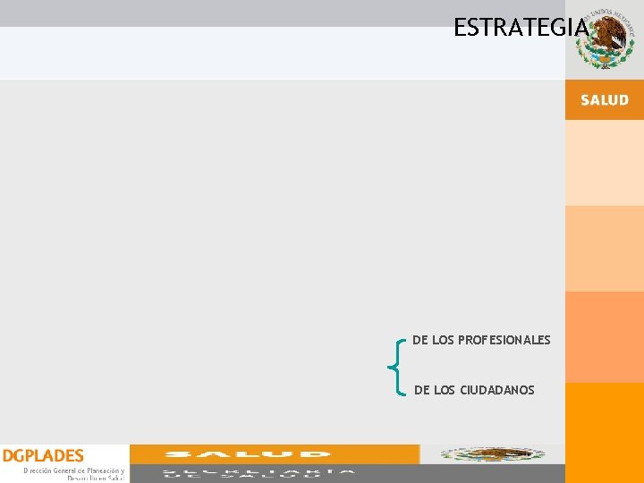 ESTRATEGIA DE LOS PROFESIONALES DE LOS CIUDADANOS ESTRATEGIA DE LOS PROFESIONALES DE LOS CIUDADANOS
