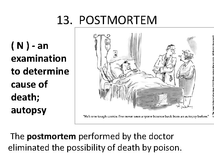 13. POSTMORTEM ( N ) - an examination to determine cause of death; autopsy