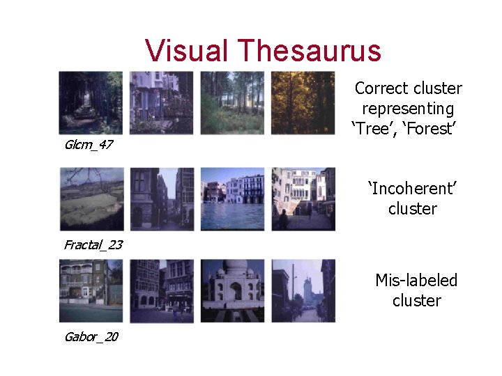 Visual Thesaurus Glcm_47 Correct cluster representing ‘Tree’, ‘Forest’ ‘Incoherent’ cluster Fractal_23 Mis-labeled cluster Gabor_20