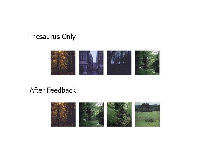 Thesaurus Only After Feedback 