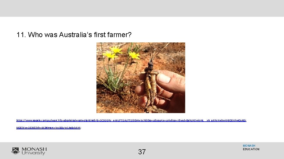 11. Who was Australia’s first farmer? https: //www. google. com. au/search? q=aboriginal+yam+planting&rlz=1 C 1