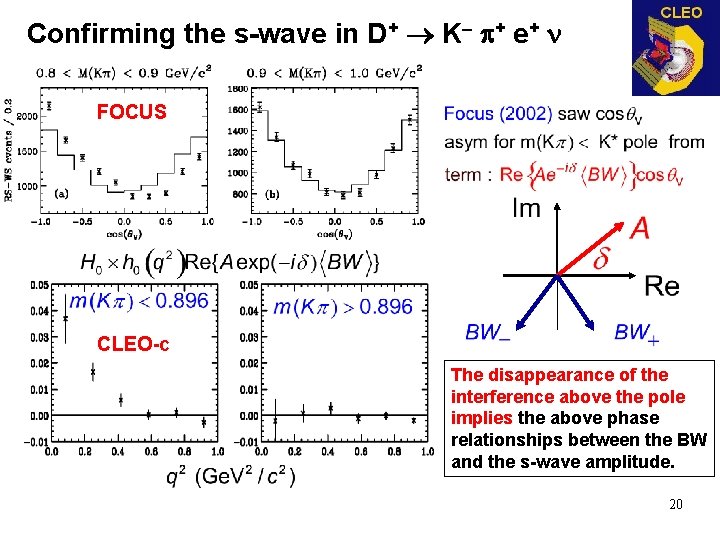 Confirming the s-wave in D+ K + e+ n FOCUS CLEO-c The disappearance of