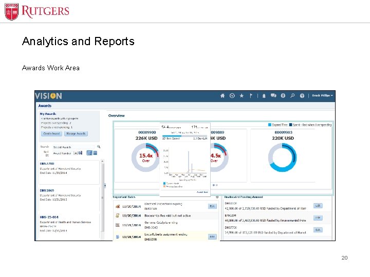 Analytics and Reports Awards Work Area 20 