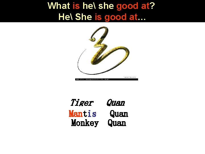 What is he she good at? He She is good at… Tiger Quan Mantis