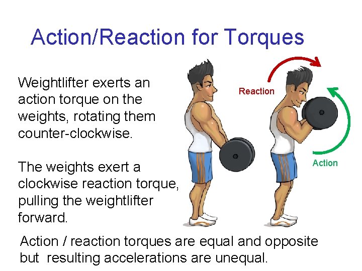 Action/Reaction for Torques Weightlifter exerts an action torque on the weights, rotating them counter-clockwise. Action/Reaction for Torques Weightlifter exerts an action torque on the weights, rotating them counter-clockwise.