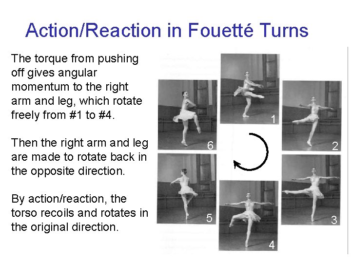 Action/Reaction in Fouetté Turns The torque from pushing off gives angular momentum to the Action/Reaction in Fouetté Turns The torque from pushing off gives angular momentum to the