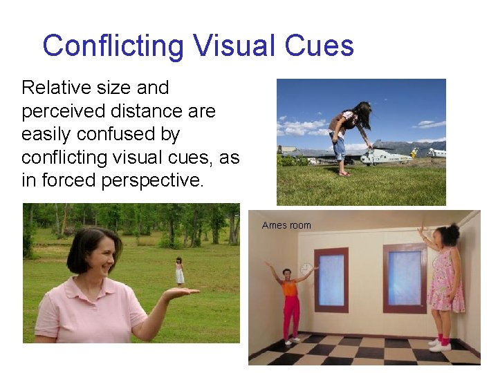 Conflicting Visual Cues Relative size and perceived distance are easily confused by conflicting visual Conflicting Visual Cues Relative size and perceived distance are easily confused by conflicting visual
