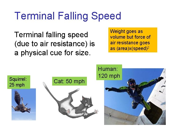Terminal Falling Speed Terminal falling speed (due to air resistance) is a physical cue Terminal Falling Speed Terminal falling speed (due to air resistance) is a physical cue