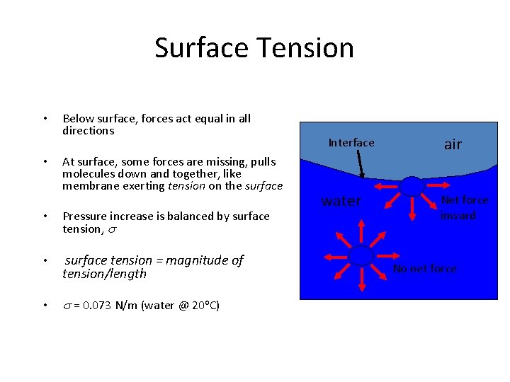 Surface Tension • • Below surface, forces act equal in all directions At surface,