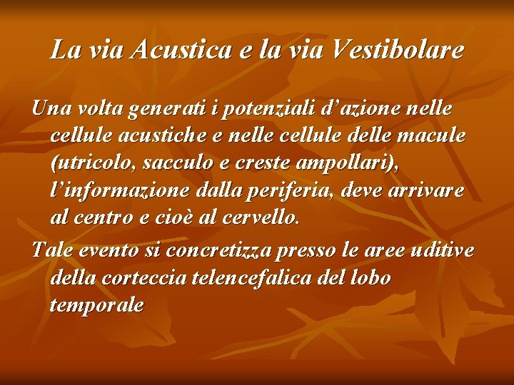 La via Acustica e la via Vestibolare Una volta generati i potenziali d’azione nelle