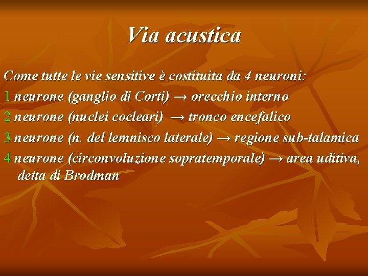 Via acustica Come tutte le vie sensitive è costituita da 4 neuroni: 1 neurone