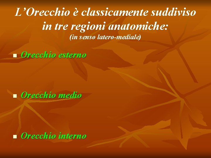 L’Orecchio è classicamente suddiviso in tre regioni anatomiche: (in senso latero-mediale) n Orecchio esterno