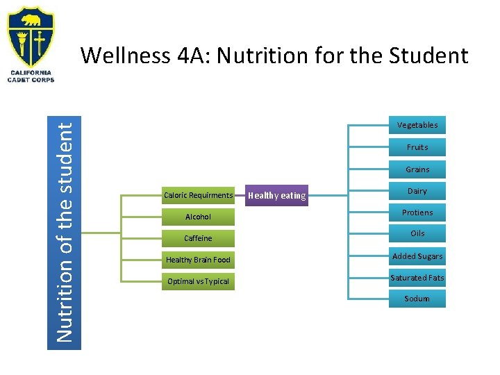 Nutrition of the student Wellness 4 A: Nutrition for the Student Vegetables Fruits Grains