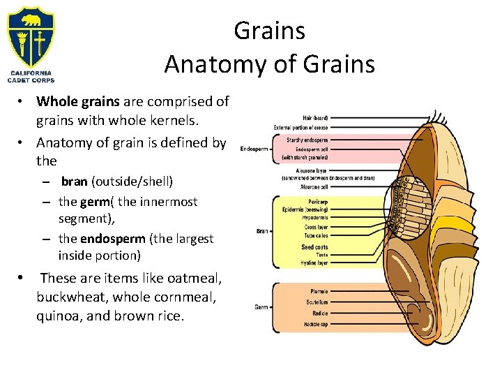 Grains Anatomy of Grains • Whole grains are comprised of grains with whole kernels.