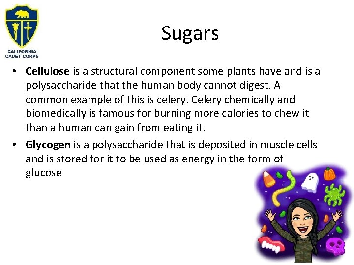 Sugars • Cellulose is a structural component some plants have and is a polysaccharide
