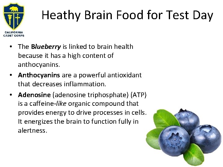 Heathy Brain Food for Test Day • The Blueberry is linked to brain health