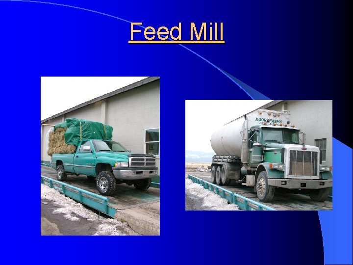 Feed Mill 