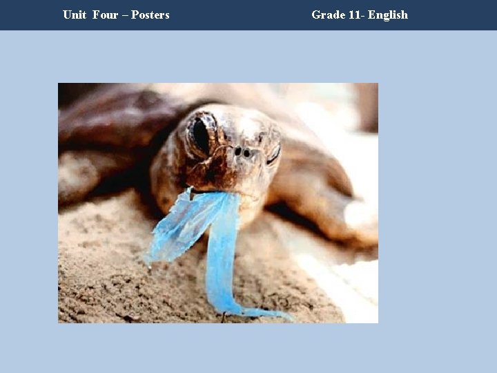 Unit Four – Posters Grade 11 - English Unit Four – Posters Grade 11 - English