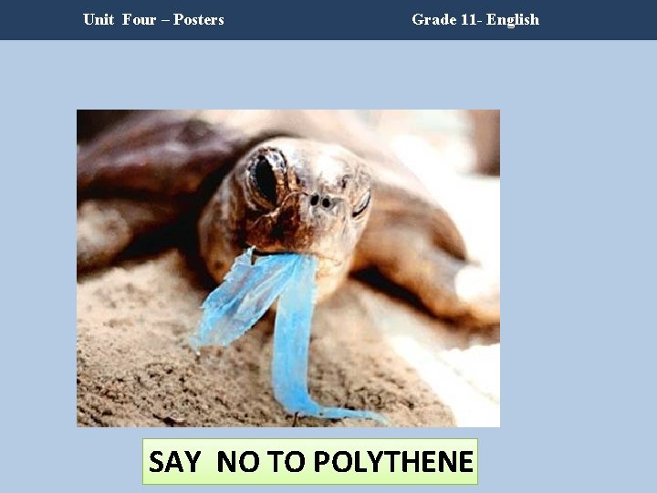 Unit Four – Posters Grade 11 - English SAY NO TO POLYTHENE Unit Four – Posters Grade 11 - English SAY NO TO POLYTHENE