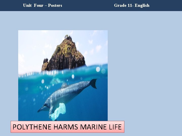 Unit Four – Posters Grade 11 - English POLYTHENE HARMS MARINE LIFE Unit Four – Posters Grade 11 - English POLYTHENE HARMS MARINE LIFE