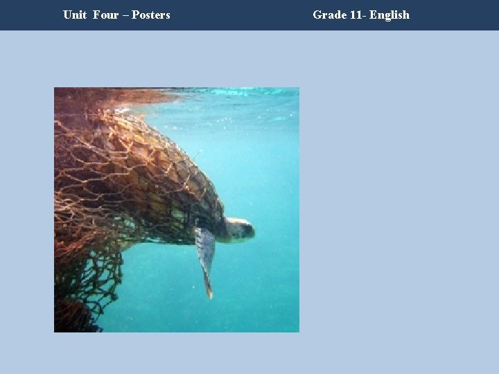 Unit Four – Posters Grade 11 - English Unit Four – Posters Grade 11 - English