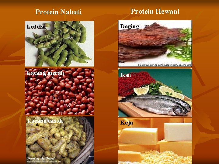 Protein Nabati Protein Hewani kedelai Daging kacang merah Ikan kacang tanah Keju 