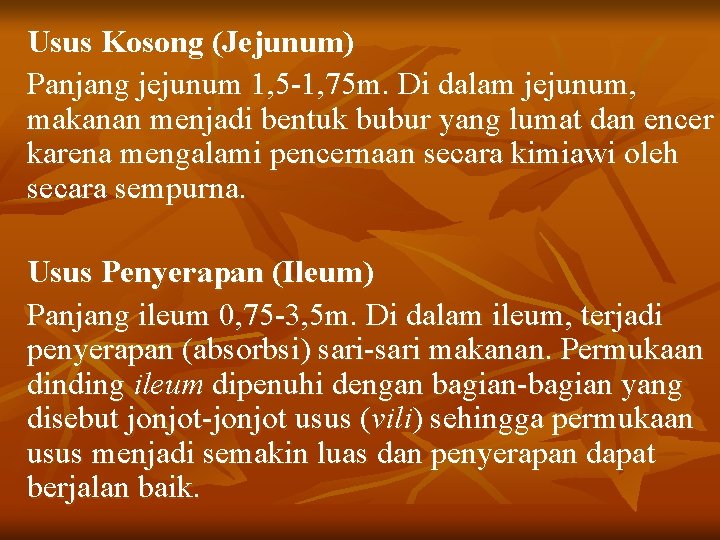 Usus Kosong (Jejunum) Panjang jejunum 1, 5 -1, 75 m. Di dalam jejunum, makanan